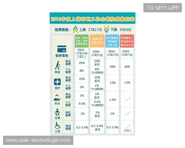新富豪娱乐城充值提现操作指南确保资金安全高效完成每一次交易